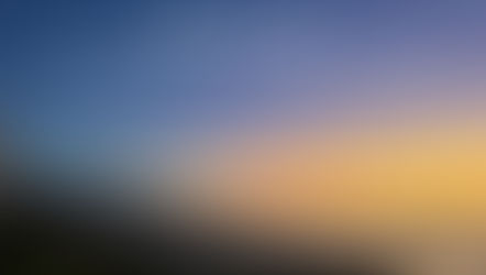 Season's Greetings 2025