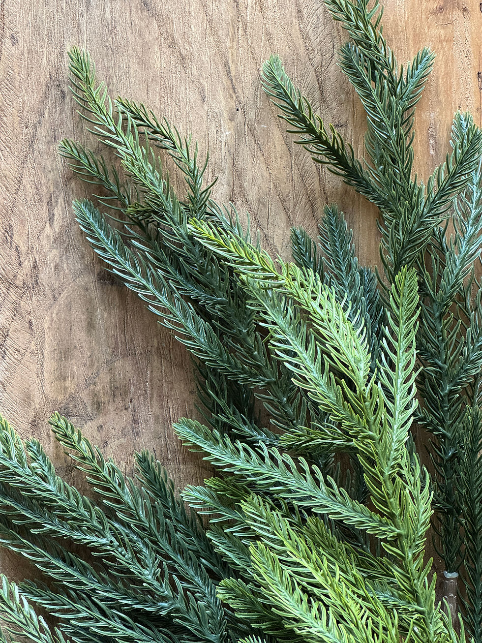 Norfolk Pine Spray