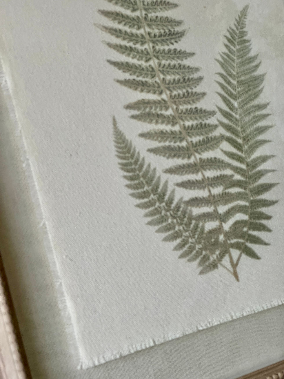 Thumbnail: Framed Botanical Wall Art | Set of 2