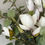 Thumbnail: Magnolia Eucalyptus Bouquet