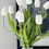 Thumbnail: White Tulip with Leaves