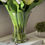 Thumbnail: White Tulip Arrangement in Glass Vase