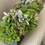Thumbnail: Succulent & Skimmia in Grey Base