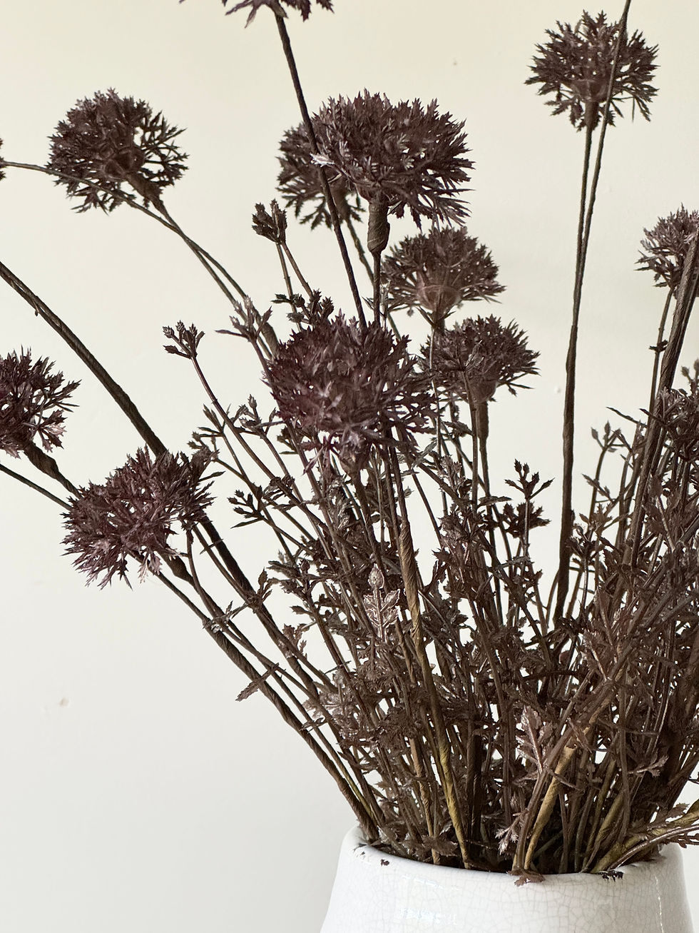 Thumbnail: Melaleuca Purple Stem