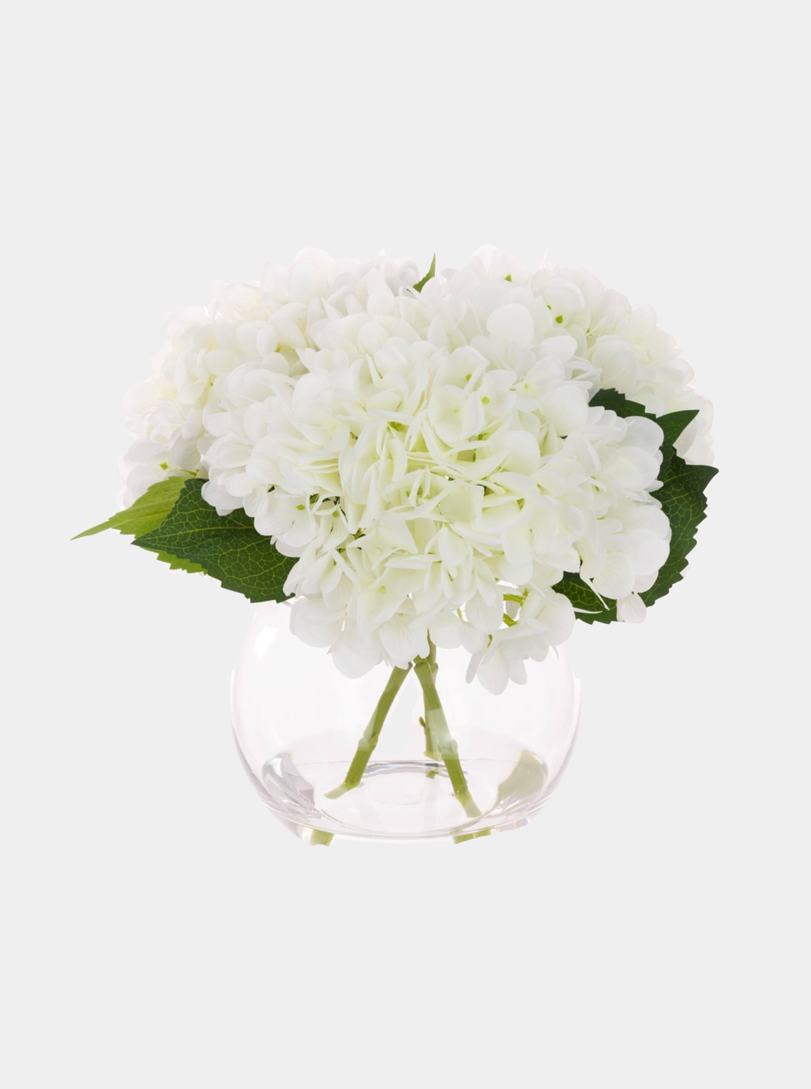 White Hydrangeas in Glass Vase