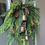 Thumbnail: Norfolk Pine & Cedar Wreath