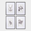 Thumbnail: Monochrome Botanical Framed Artwork | Set of Four