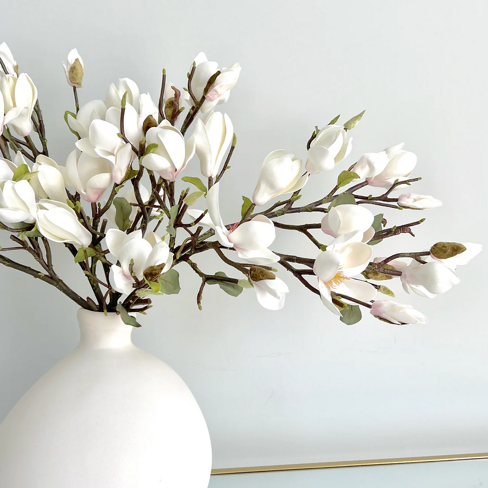 Thumbnail: Premium White Magnolia Stem