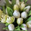 Thumbnail: White Tulip Arrangement in Glass Vase