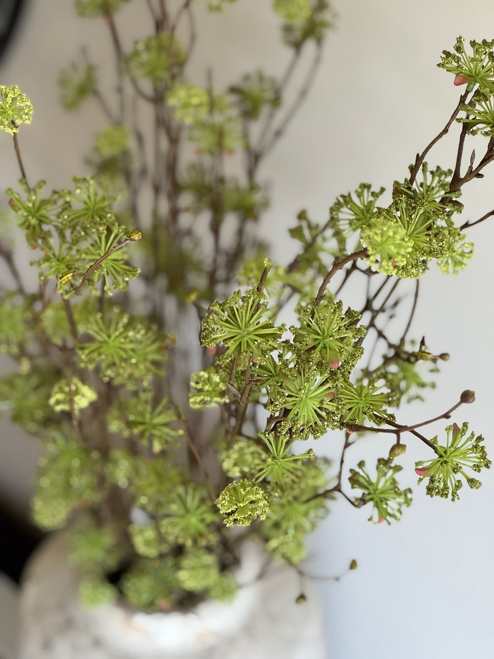 Thumbnail: Green Cornus Stem