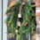 Thumbnail: Norfolk Pine & Cedar Wreath