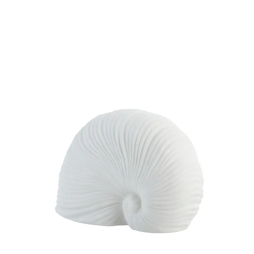Thumbnail: Decorative Porcelain Shell