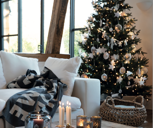 Boxwood tree christmas clearance