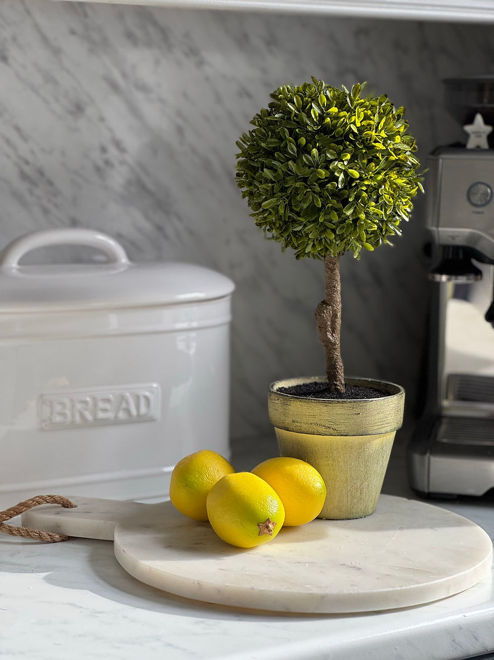 Thumbnail: Mini Potted Topiary