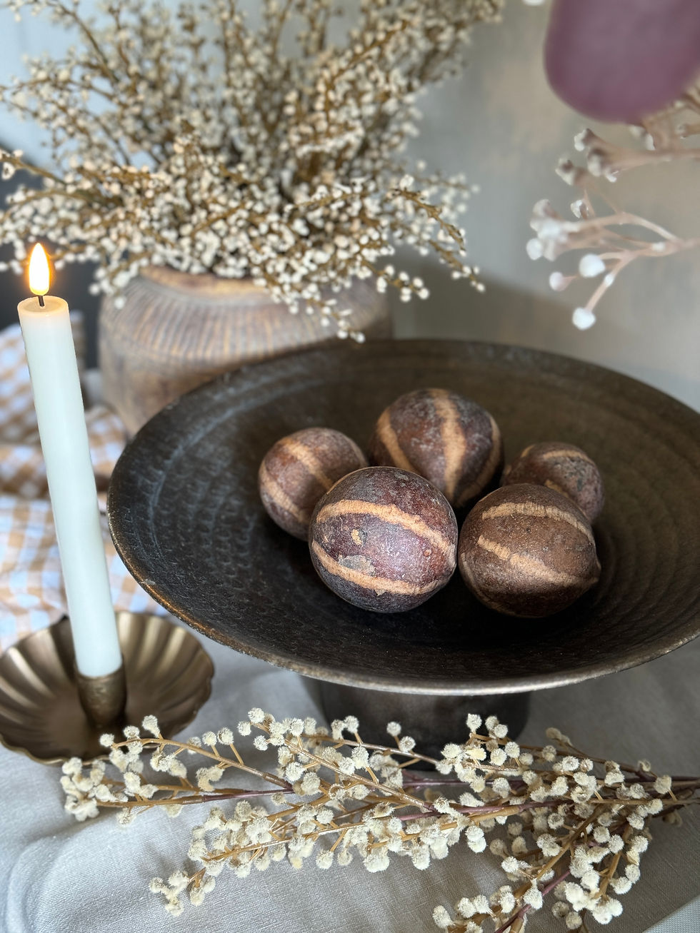 Thumbnail: Dried Bellani Pumpkin | Pack of Five