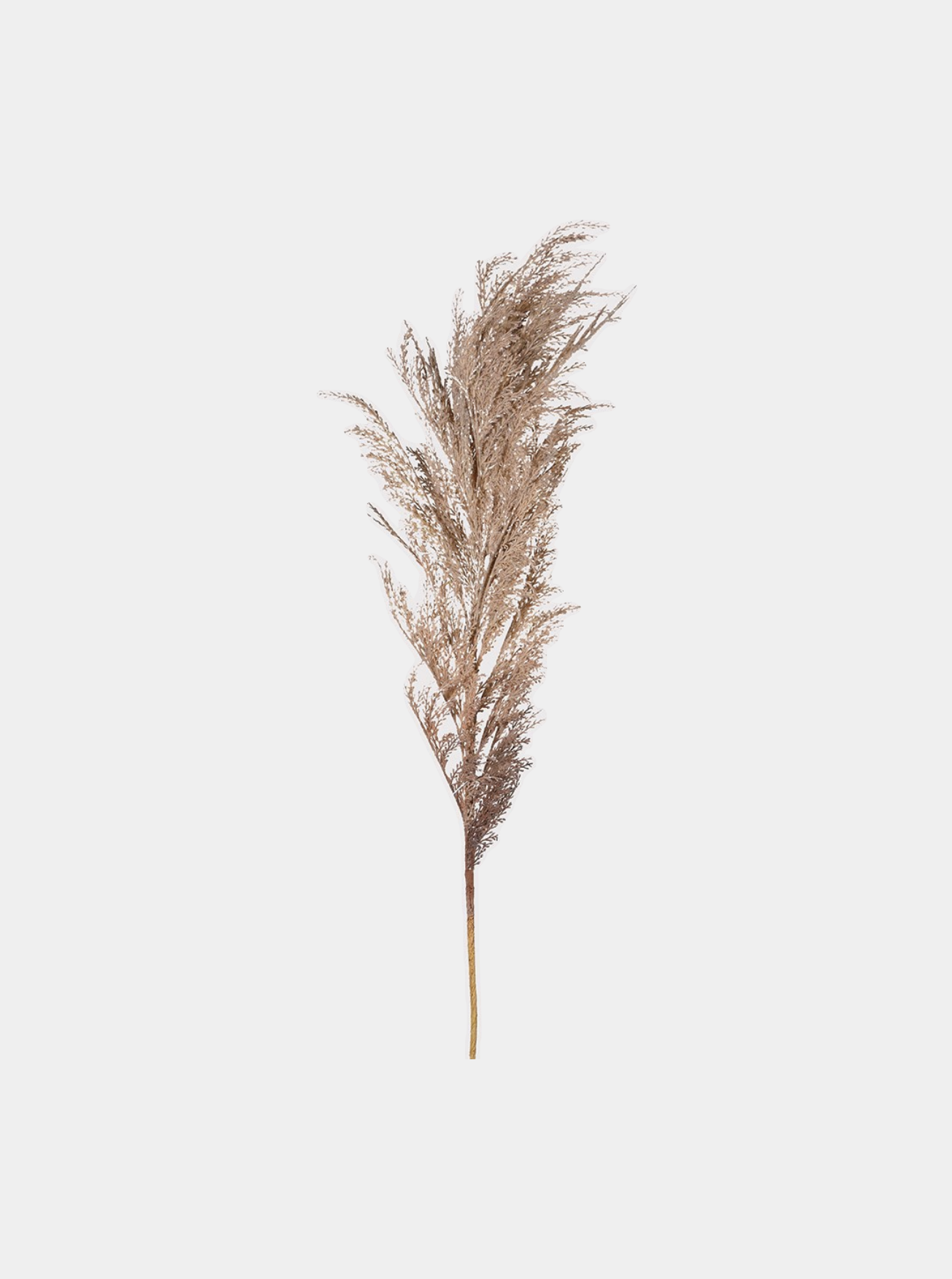 Beige Dried Look Reed Spray