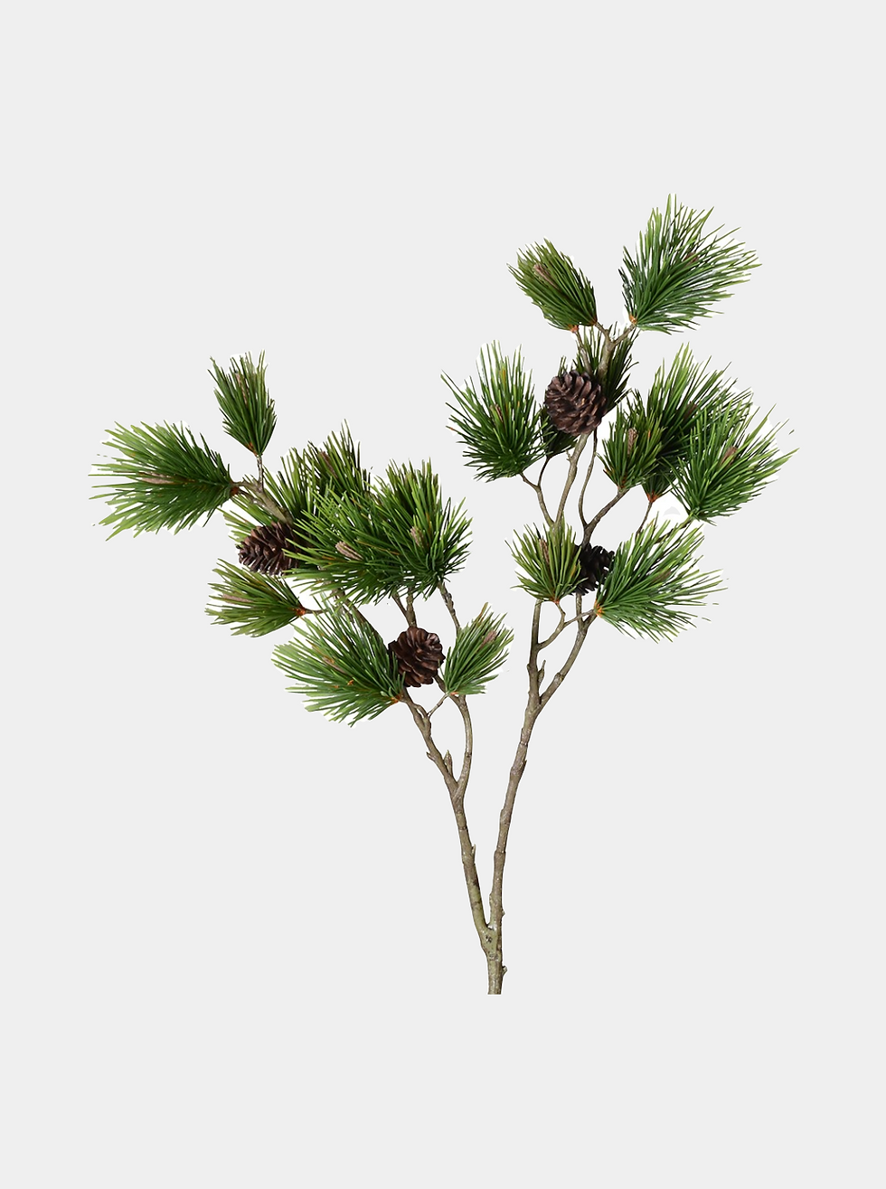 Green Pine & Cone Spray