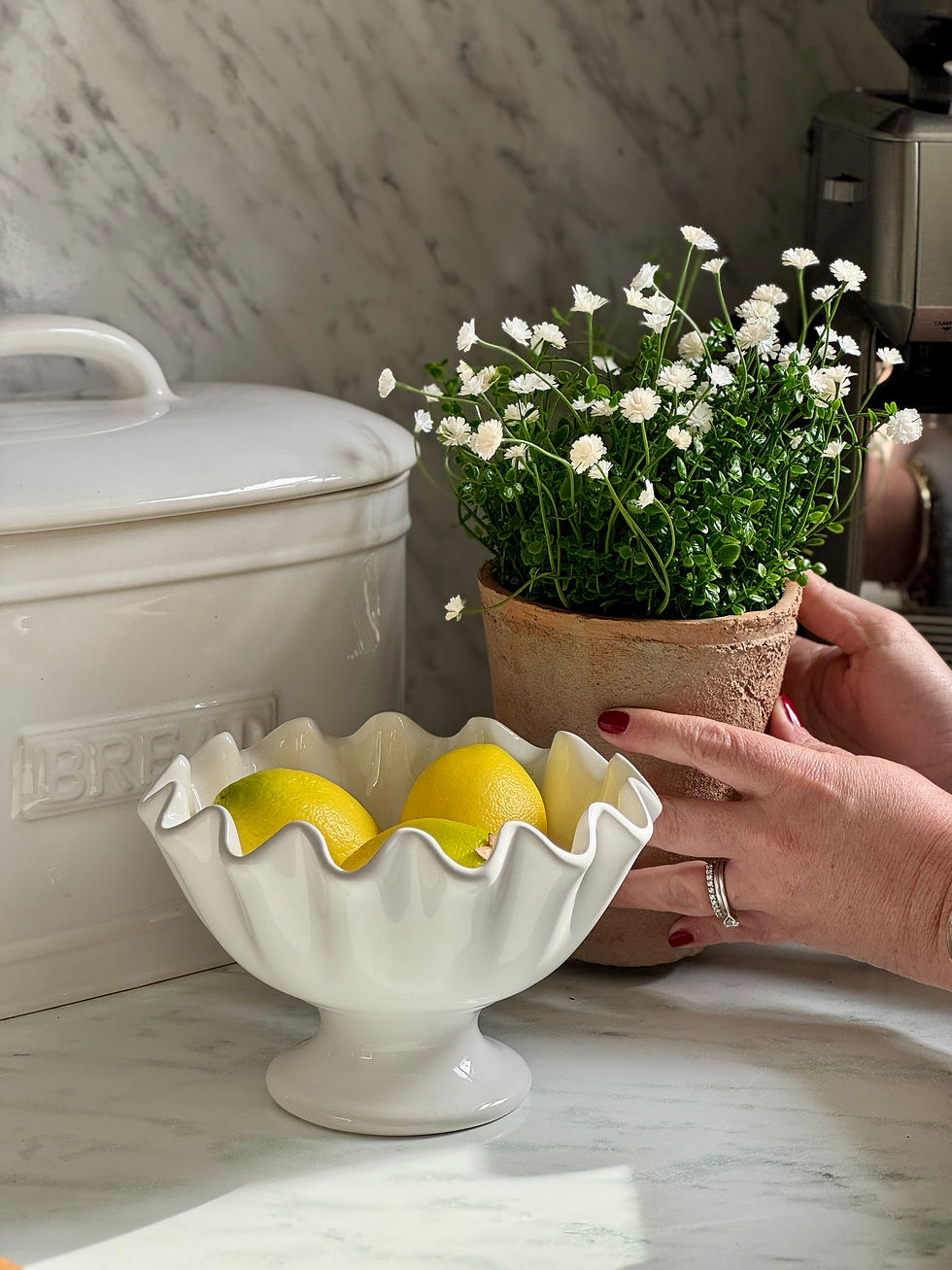 Thumbnail: Faux Gypsophelia Bush in Clay Pot