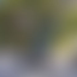 「運動」＋「あそび」+「学び」