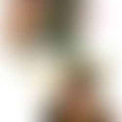 『砂子間のいう男の生き方』