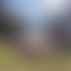 新しい暮らしのカタチ