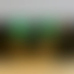 子どもカメラマン誕生