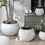 Thumbnail: Artificial Plant With Circular Pot