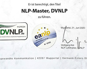 DVNLP