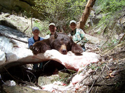 Utah Bear Hunt