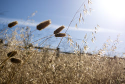 p6059999-5_35107614295_o