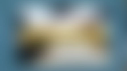 Guía para Comprar Propiedad en Venezuela Como Extranjero: Requisitos y Procedimientos