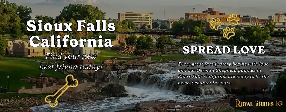 Bring Home German Shepherd Breeder Near You in Sioux Falls, CA