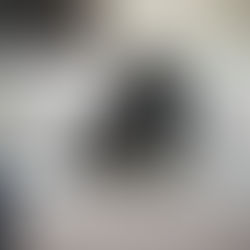 Dog Site – Comparing Puppy Options Before You Choose