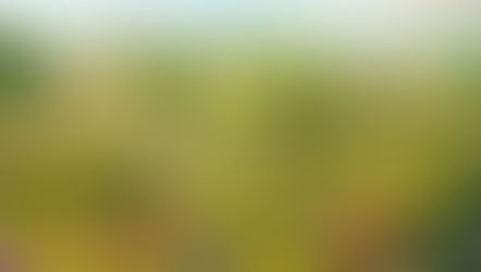 El recuerdo y el llanto.