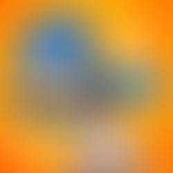 STUDIO 5 PREPARA FIM DE SEMANA DO CONSUMIDOR COM DESCONTOS, PROMOÇÕES E MÚSICA AO VIVO