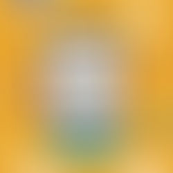 O BAILINHO DA ALEGRIA DO STUDIO 5 É A DESPEDIDA DO CARNAVAL INFANTIL DE MANAUS