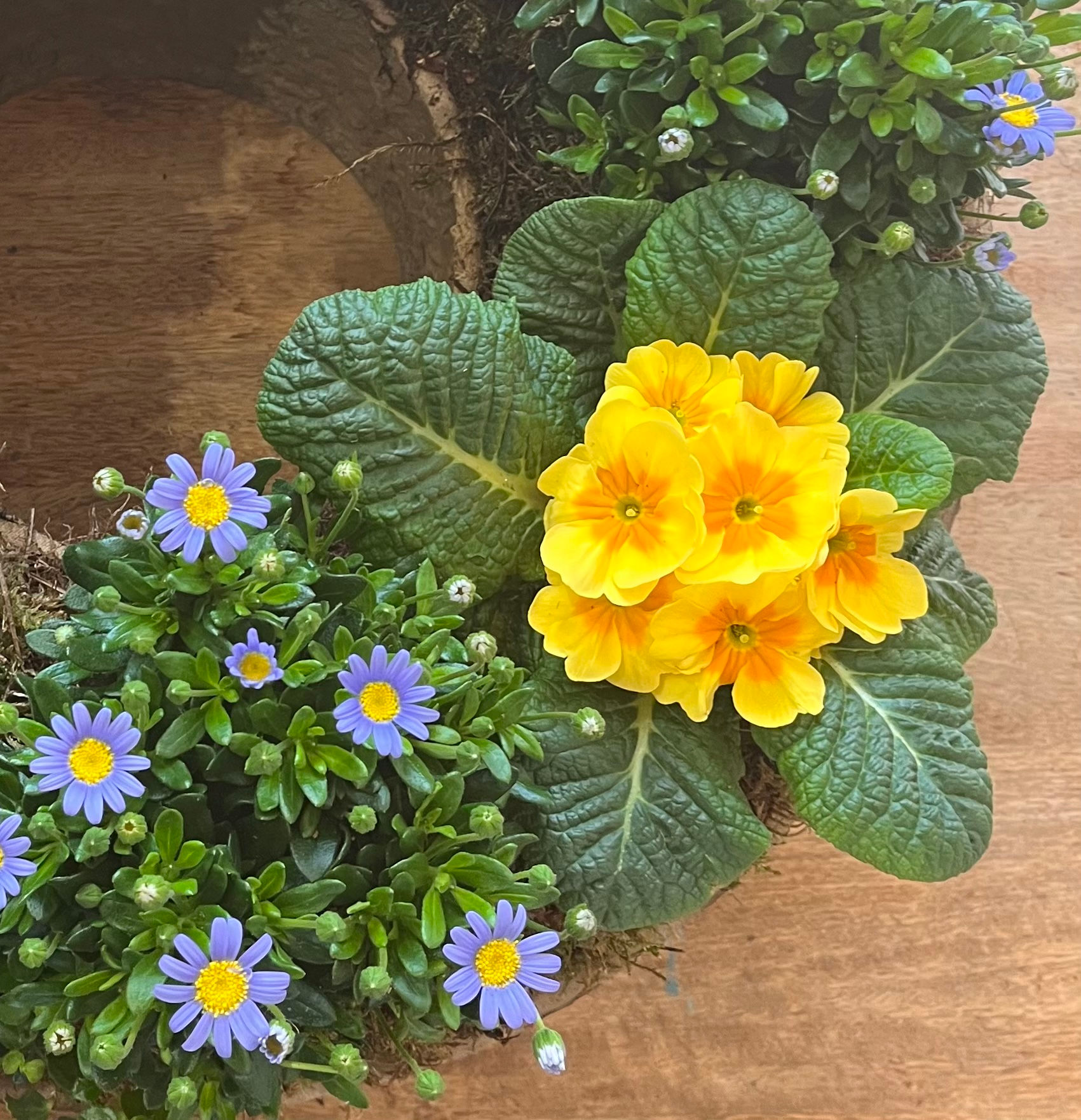 Living/Dried Wreaths