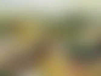 Territorio, identidad y el nuevo mapa de la alta perfumería