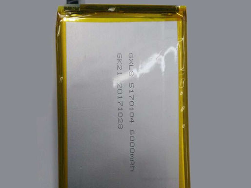 6000mAh Batterie Leagoo Shark pour Leagoo Shark 1 Nouvelle