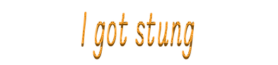 i got stung2-Wiederhergestellt.png