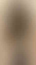 Fotografia detalhada de espada do exército imperial de Dom Pedro II