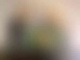 Monarquistas posam em frente a espadas históricas e ao quadro da Rainha Maria I de Portugal. 