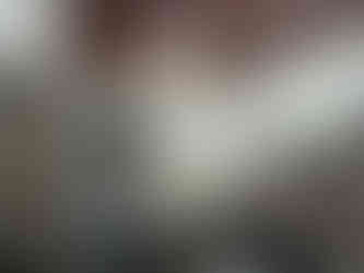 Monarquistas e funcionários da biblioteca municipal posando para foto