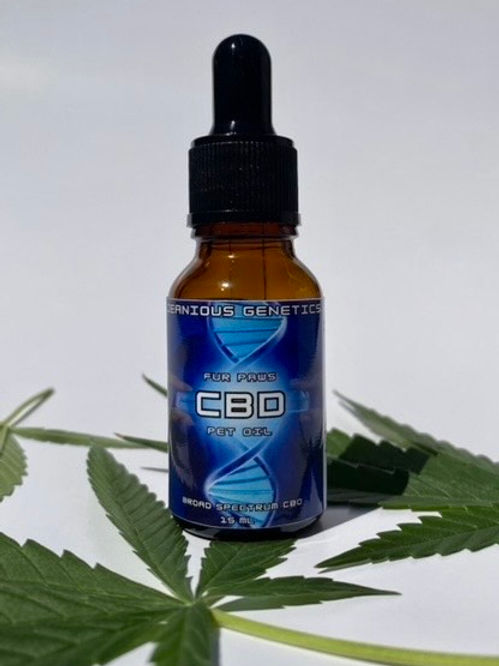 Fur Paws CBD Pet Oil | JGC