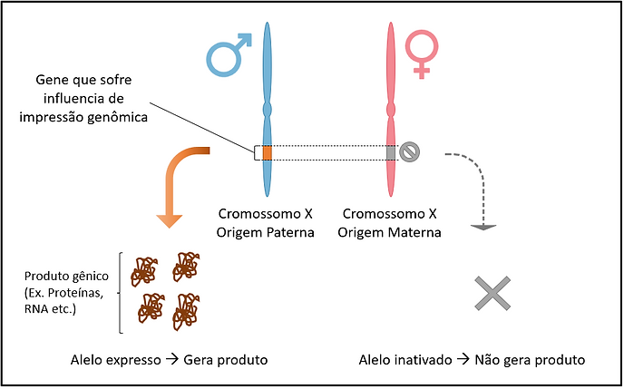 Figura 6 (diferenças fenotipicas).png