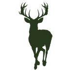 Cerf dans la nature en Normandie, illustration pour le salon chasse, pêche, nature et terroir ÙLL 2026