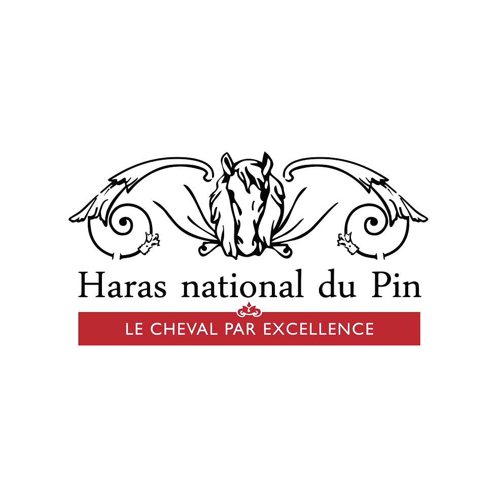 haras-national-du-pin-ùll