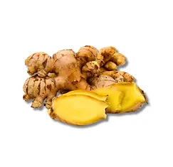 jahegajahpangrangopage1.webp