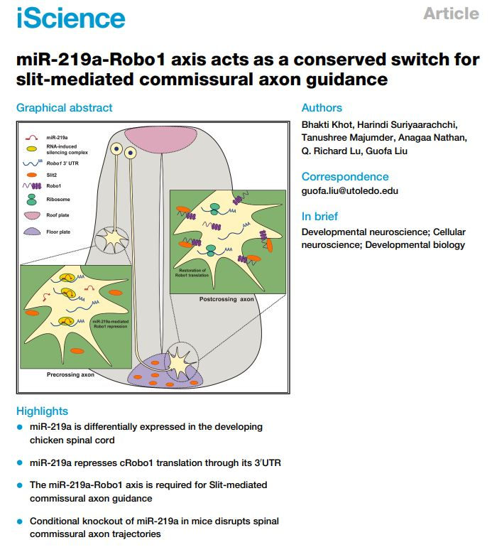 New Publication Alert!