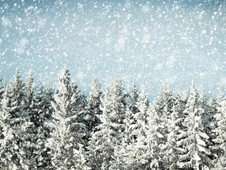 Snow: The Epitome of Living in the Moment